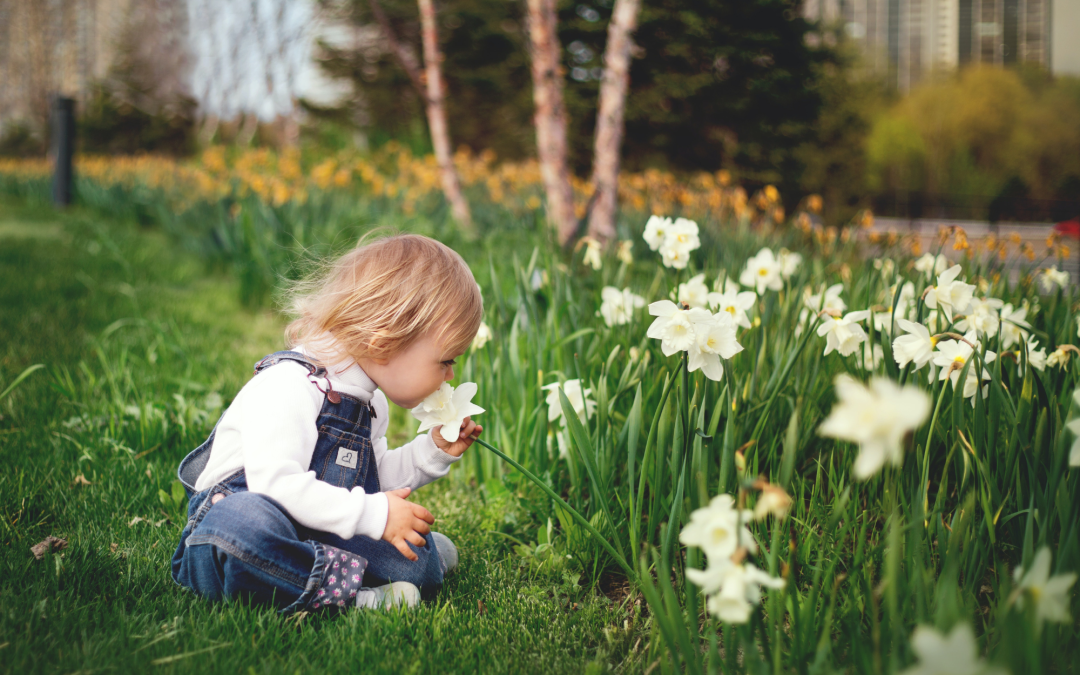 Creating Your Dream Garden: Tips and Tricks for Designing a Gorgeous Outdoor Space