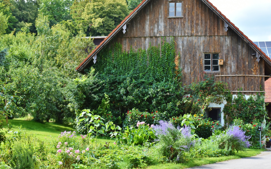 Eco-Friendly Gardening: Sustainable Techniques for a Greener Garden