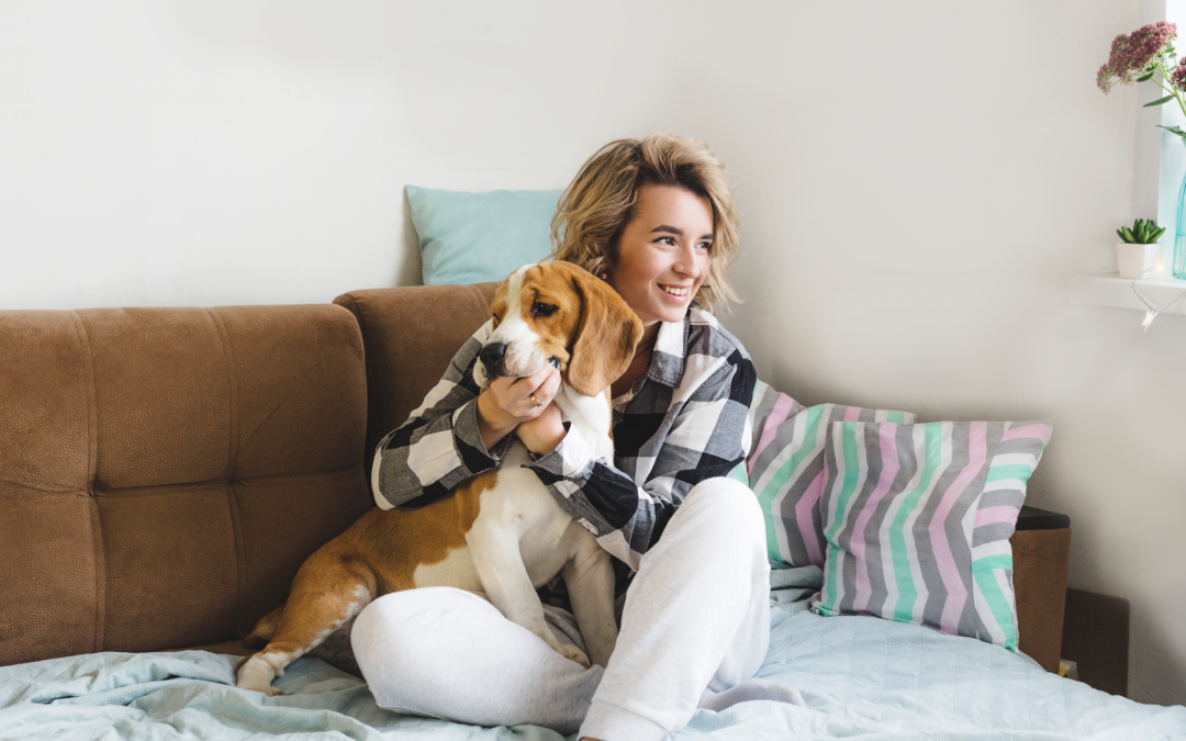 Essential Home Furnishings for Pet Owners